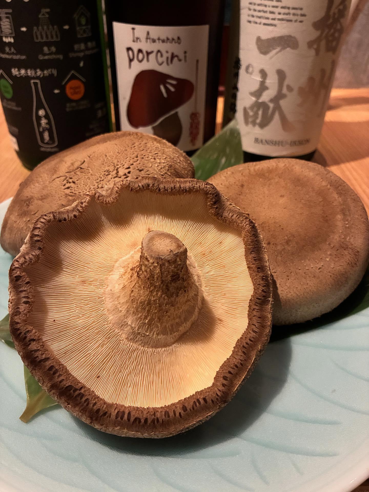 ★肴メニューの紹介です