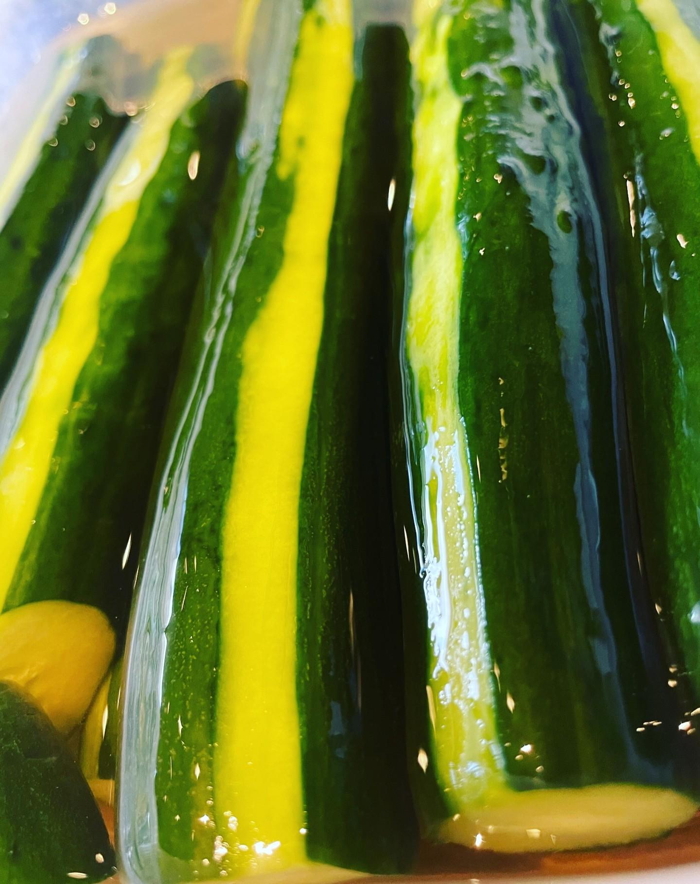 夏祭りを金曜日に控えてる百干国分寺店から、NEW夏野菜のご紹介です！