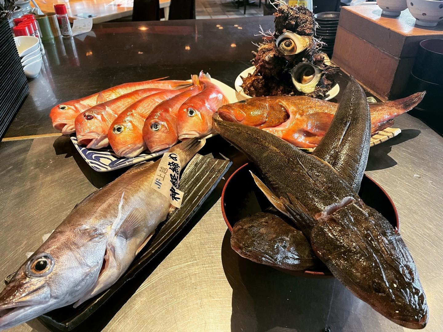 本日の届きたて！