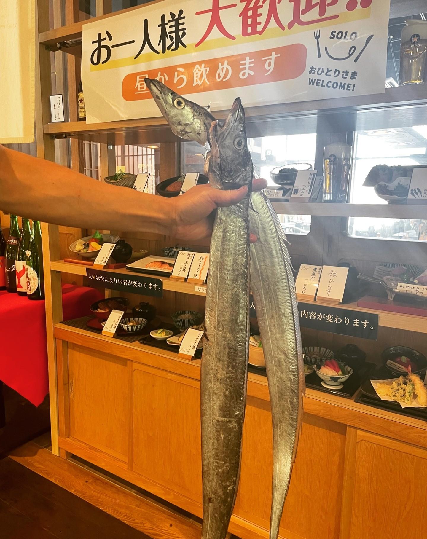 たった今、届きたて！