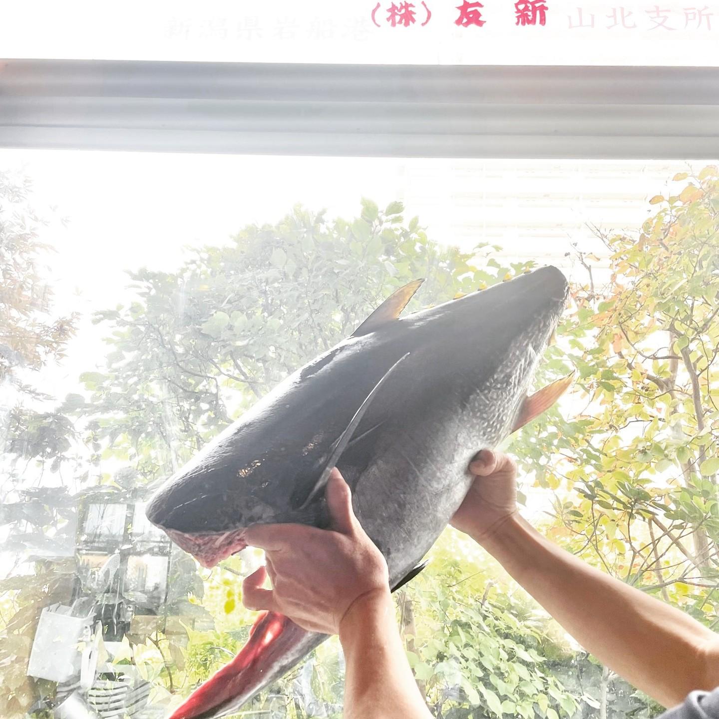 たった今、届きたて！