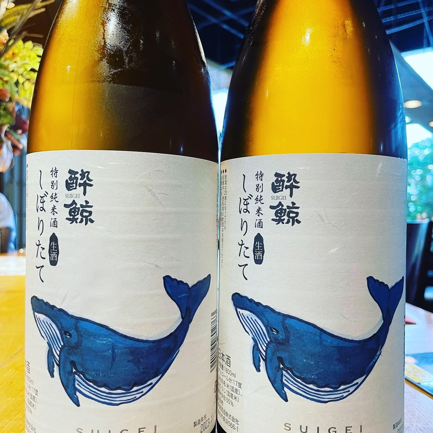 新しい日本酒入荷です！