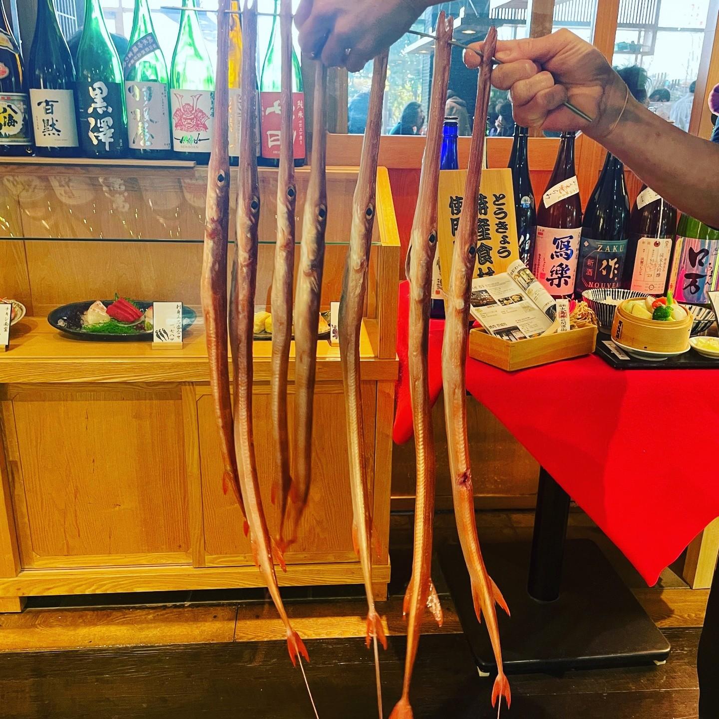本日の届きたて！7人兄弟！
