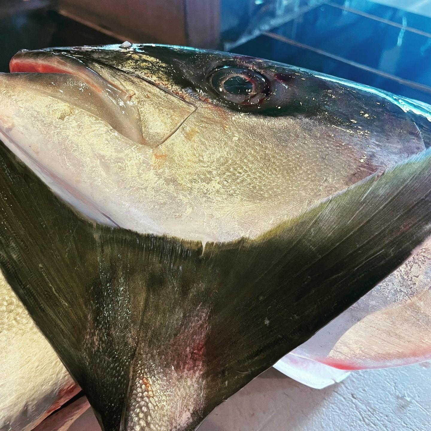 この新鮮さまずは見てほしいです！