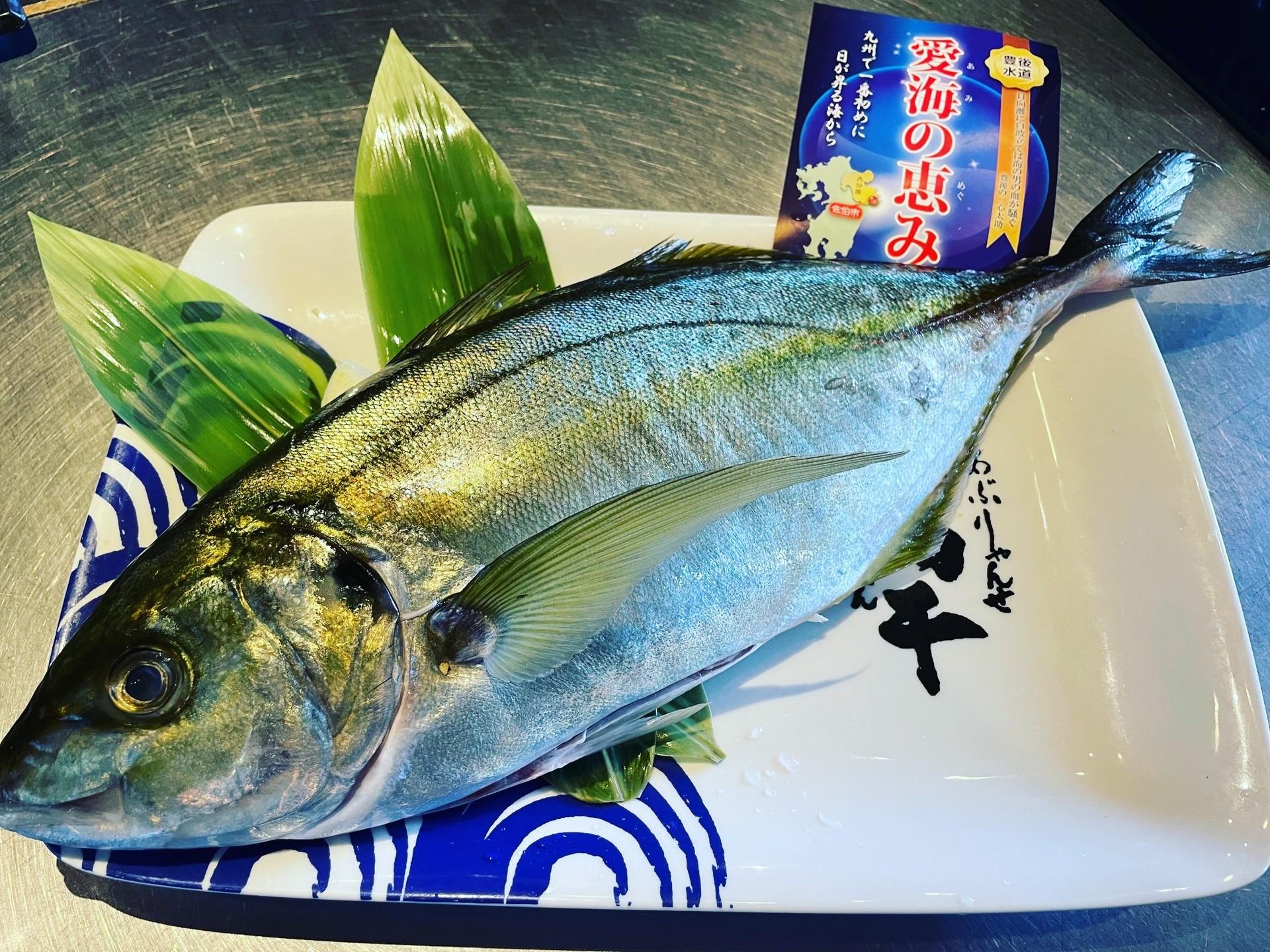本日の届きたて！