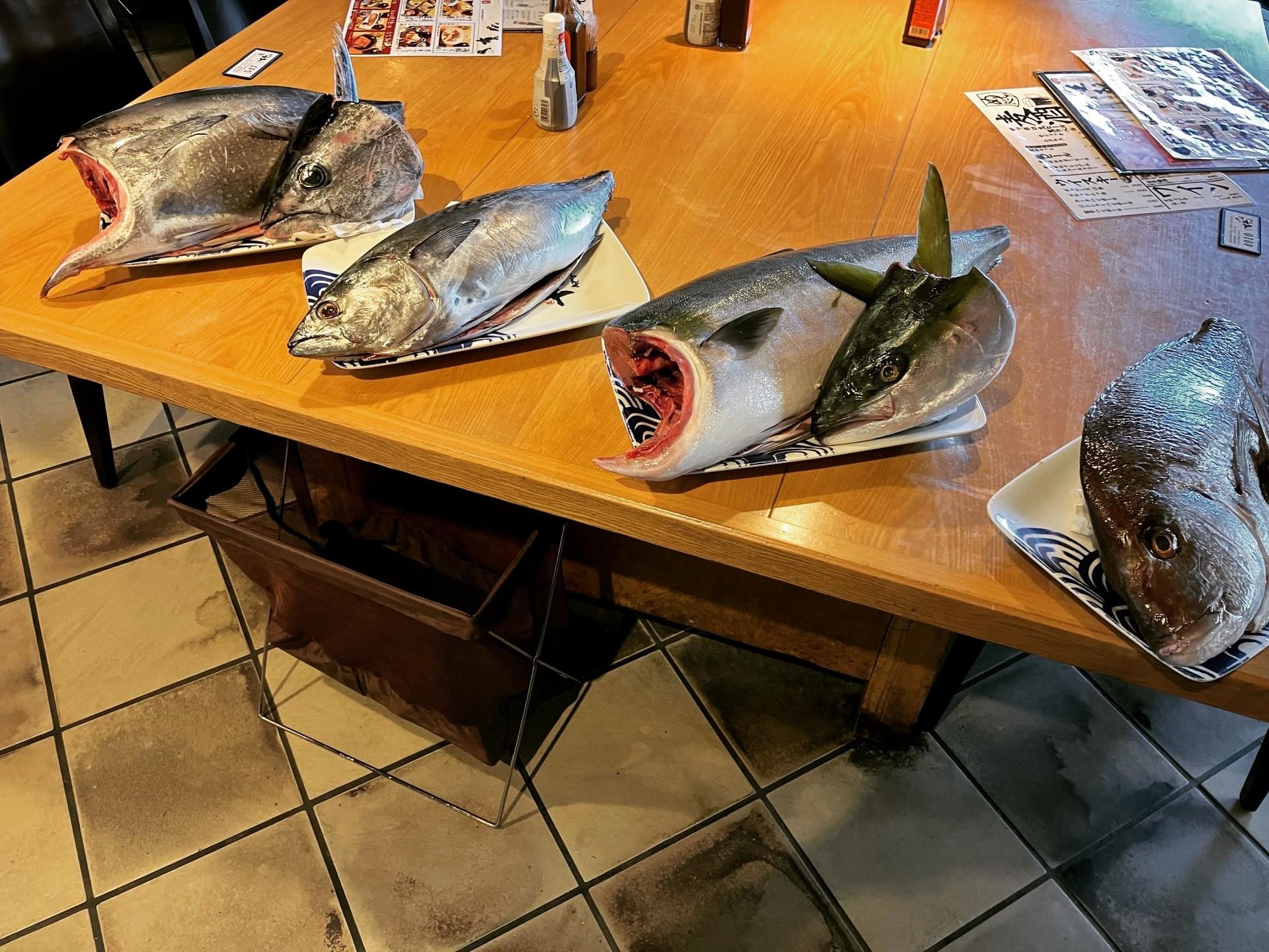 本日の届きたて！