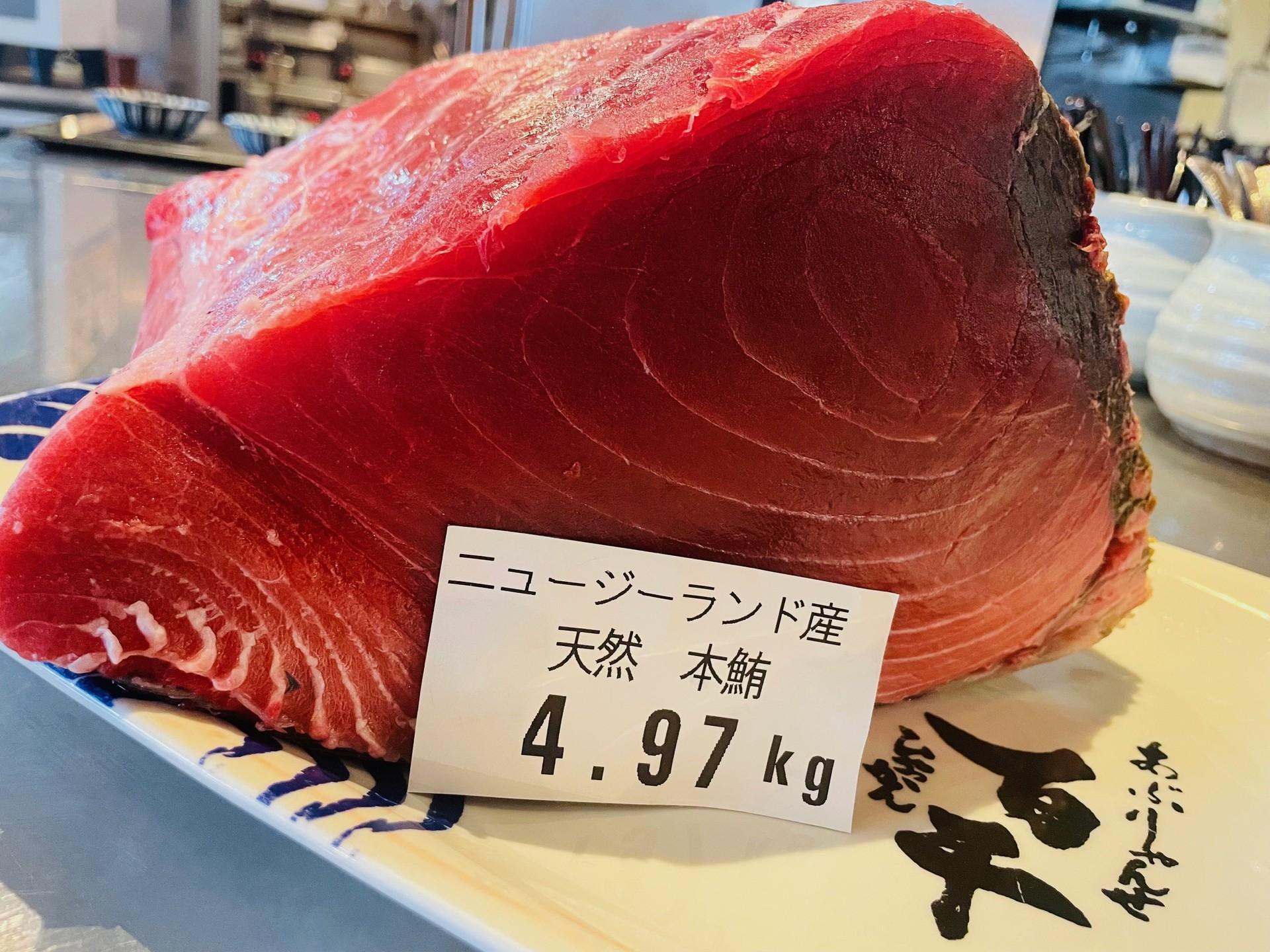 迫力満点！