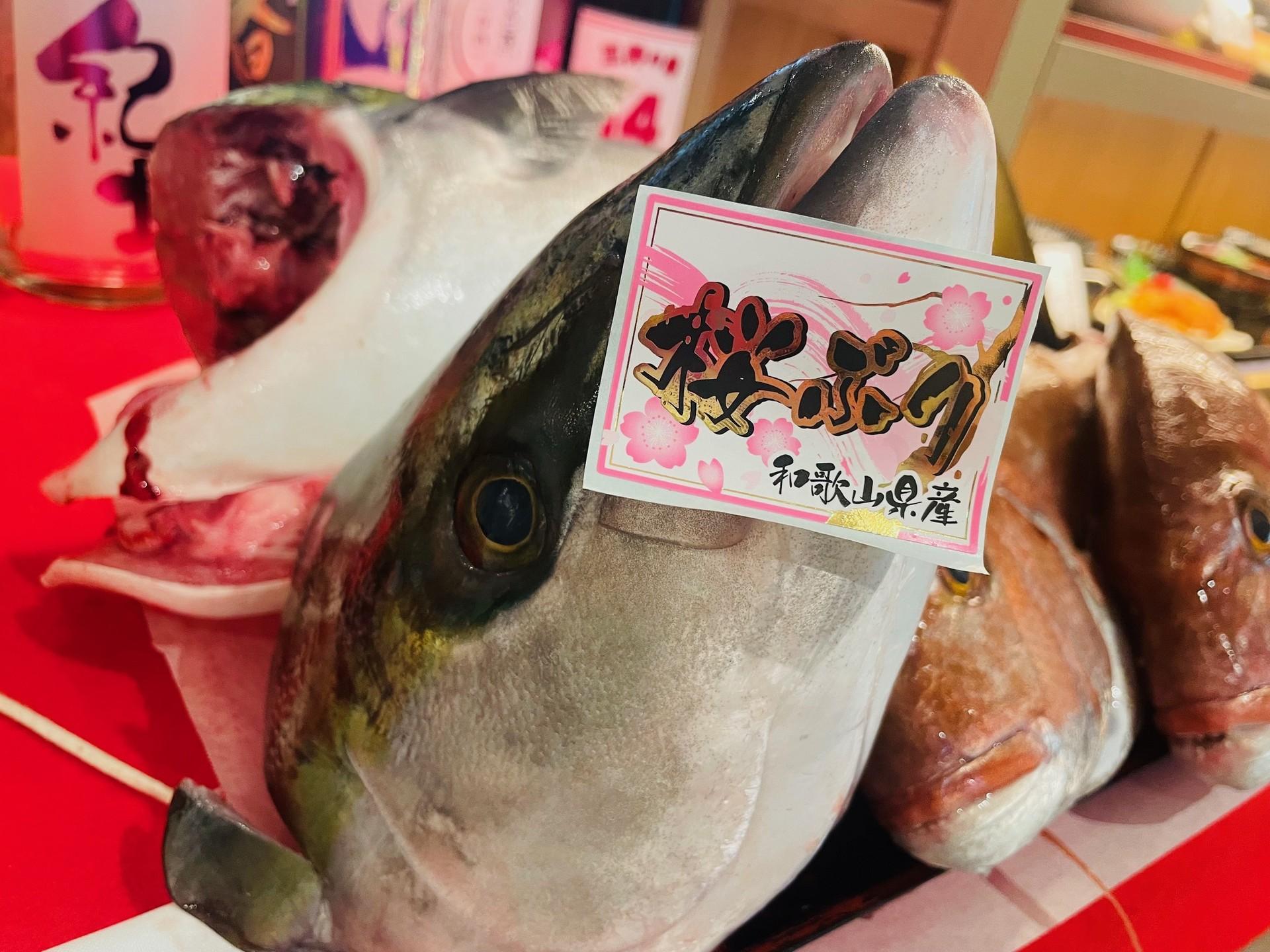 本日の届きたて！