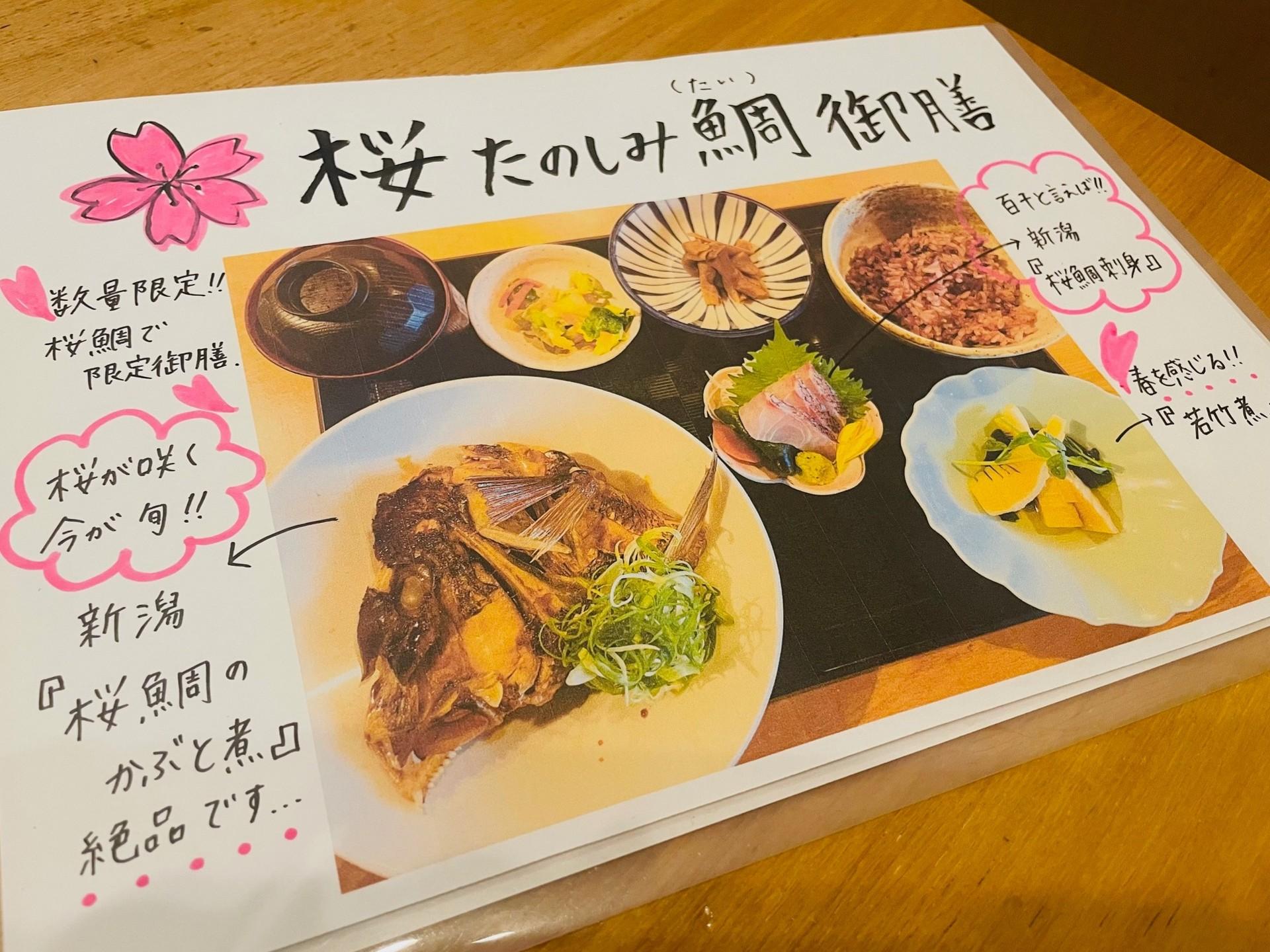 🌸今が旬の桜鯛で🌸