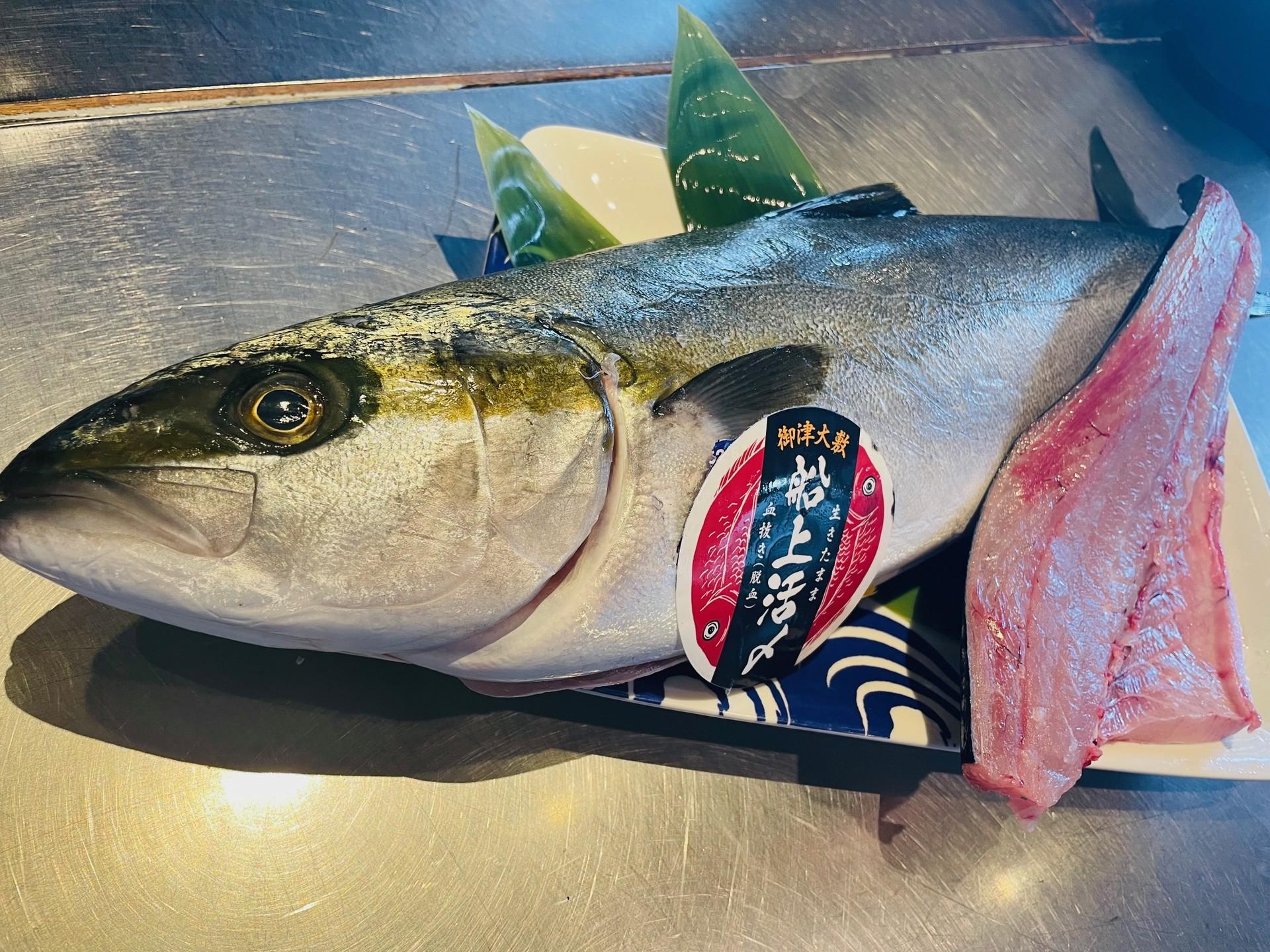 本日の届きたて！
