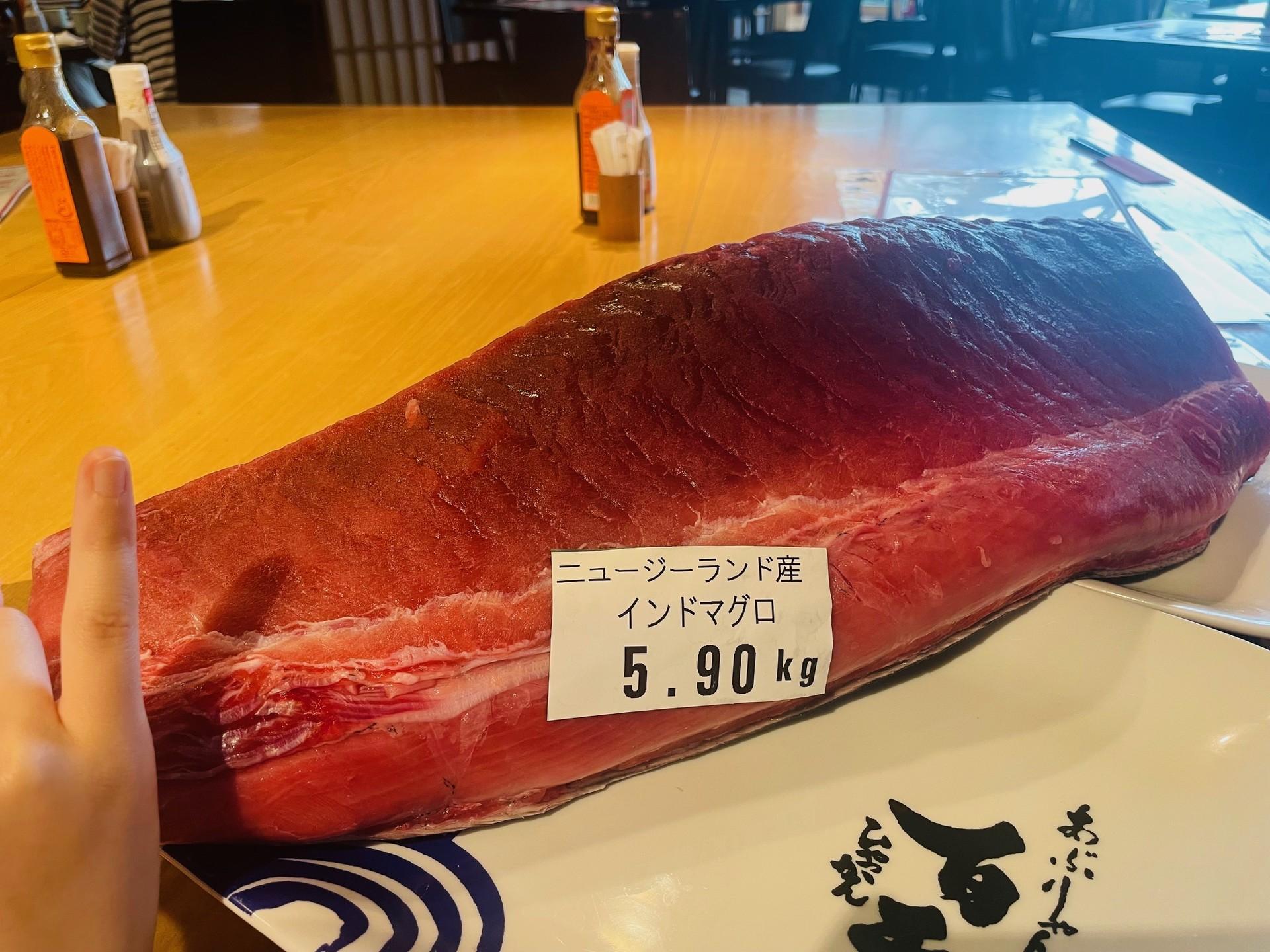 迫力ある生インドまぐろが、登場！
