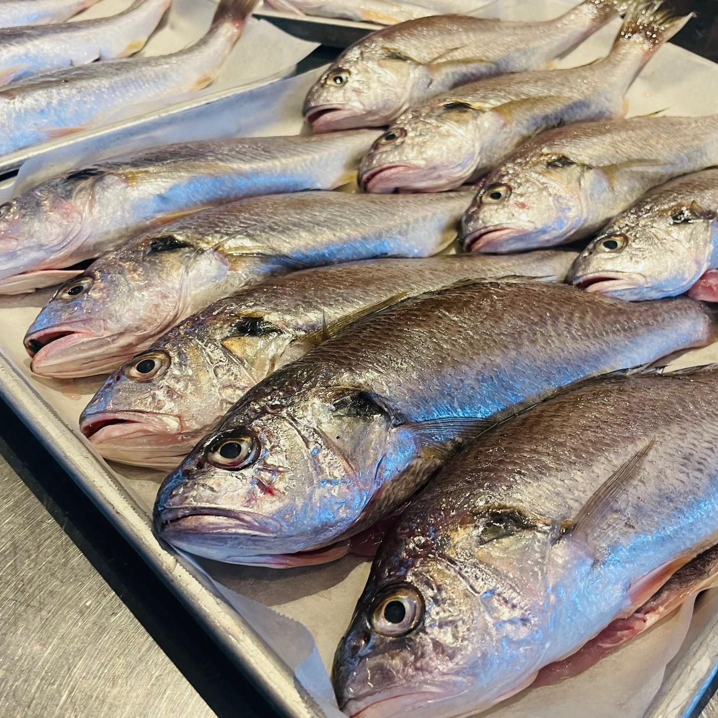 明日の煮魚御膳のお魚は…