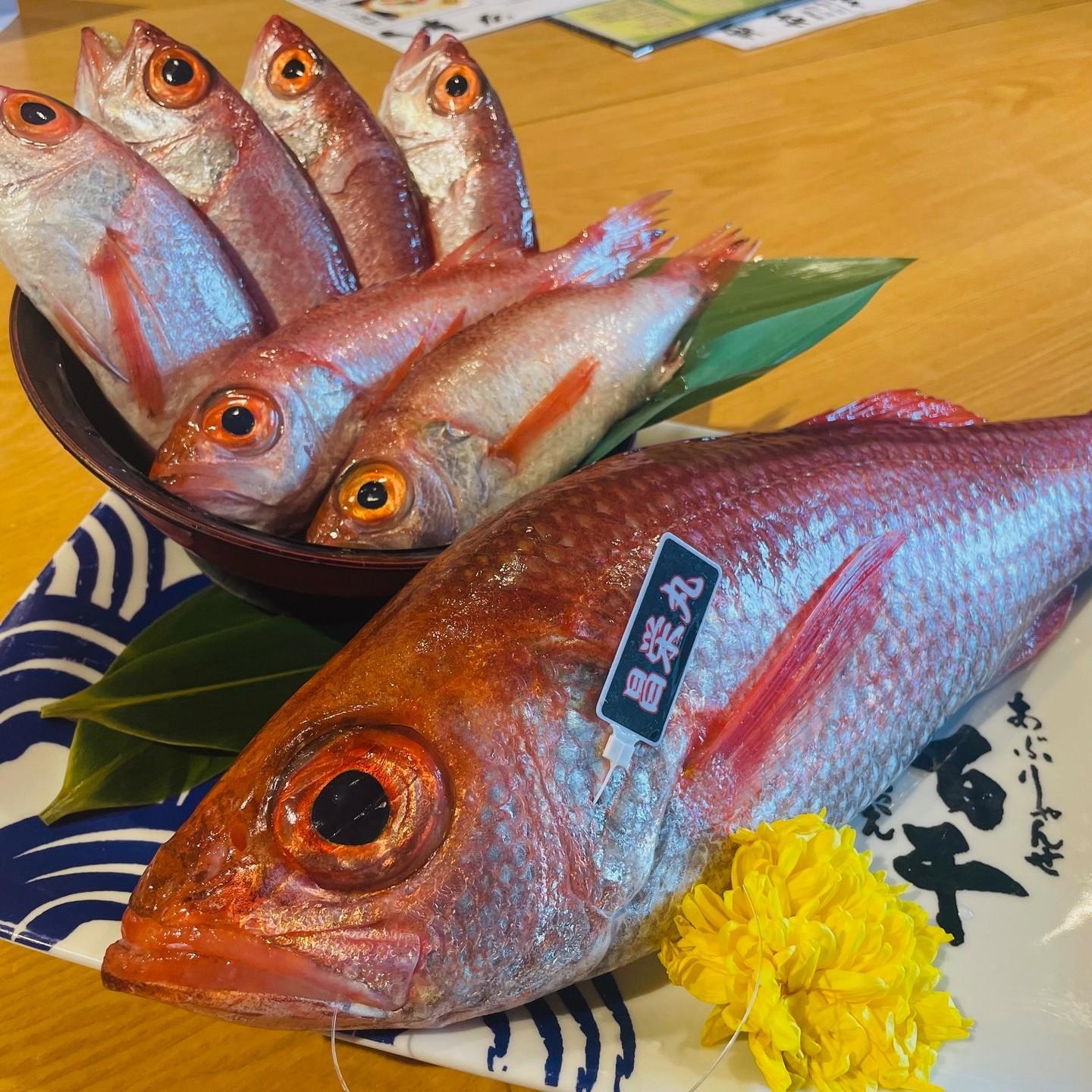 本日の届きたて！