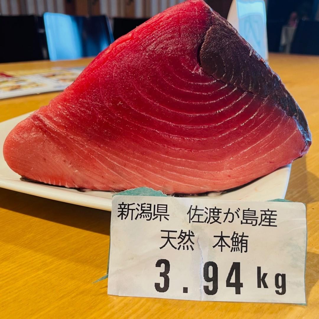 本日も最高のまぐろが届きました！