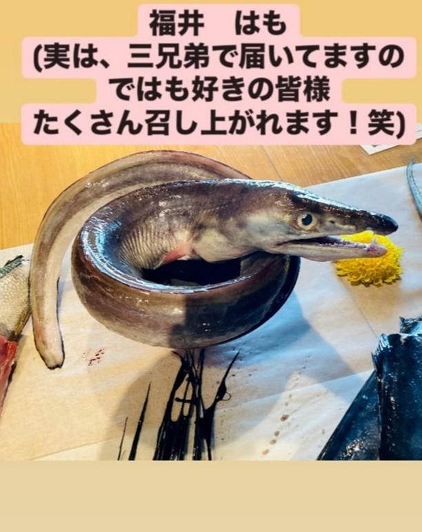 本日の届きたて②