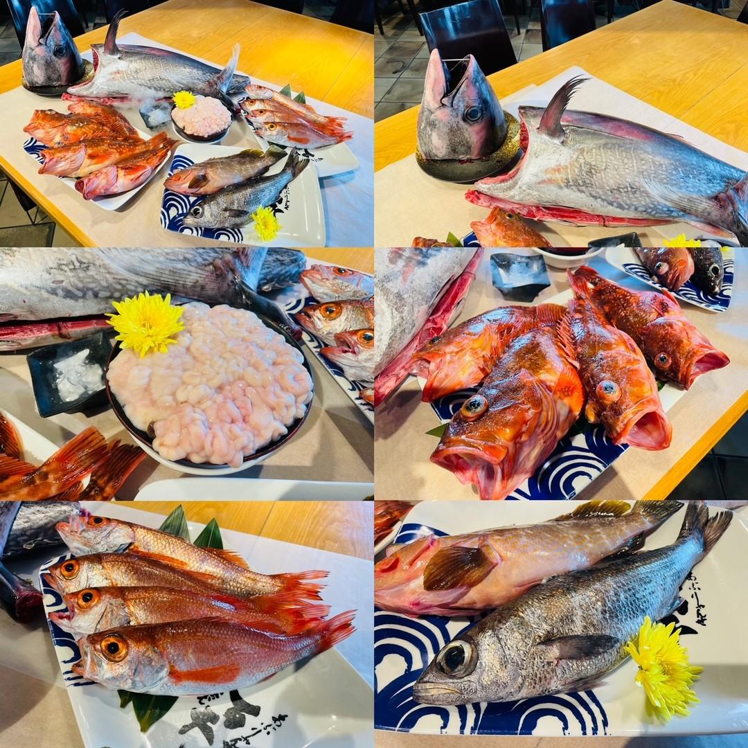 本日の届きたて‼