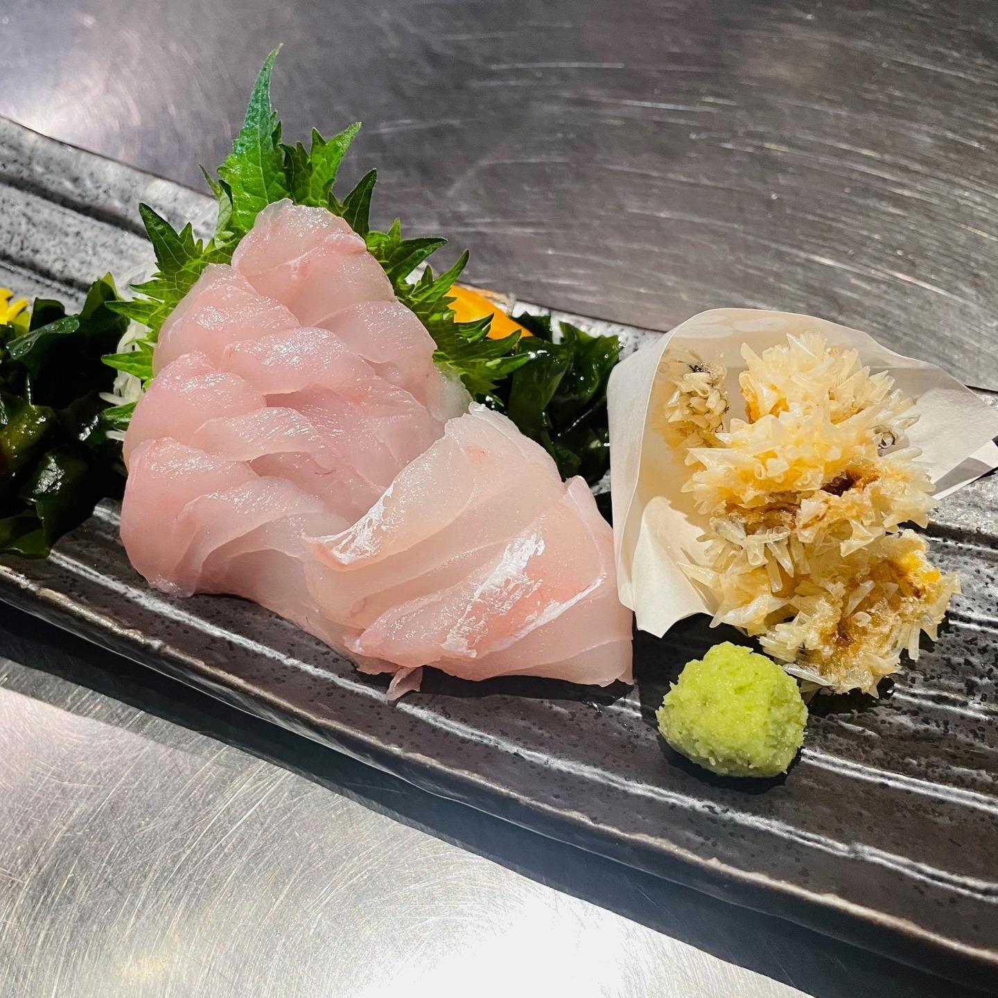 人気者が登場中でした！