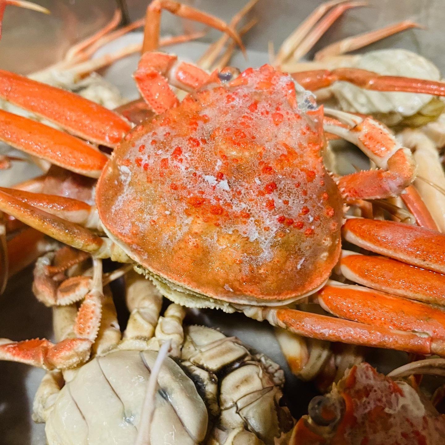 🦀蟹が帰ってきました！🦀