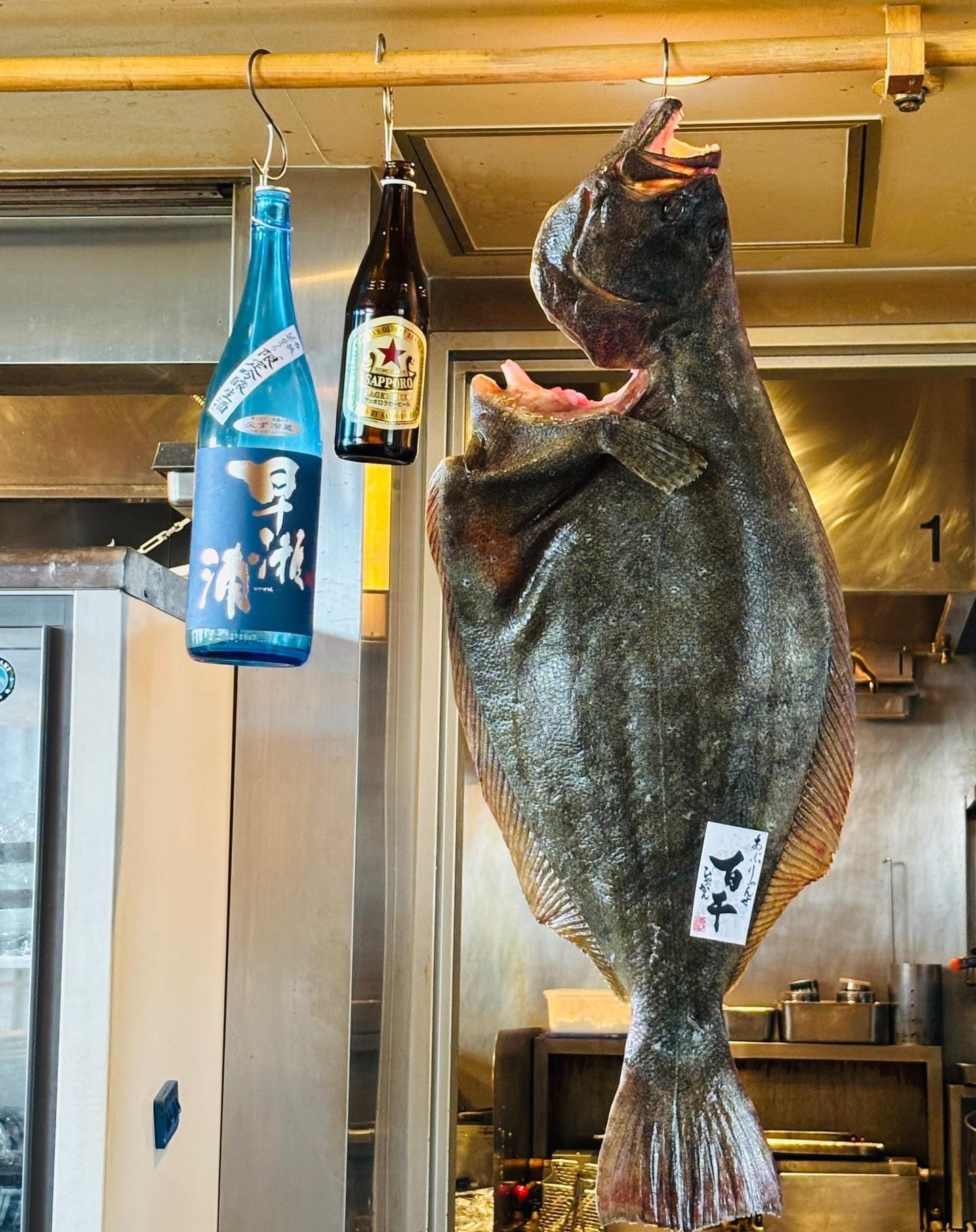 今週の大注目！