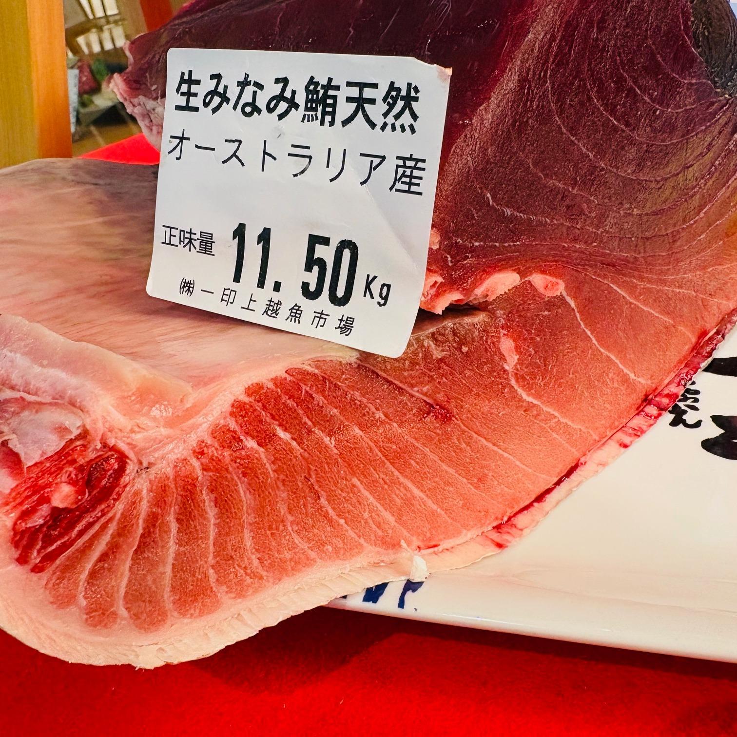本日の届きたて！