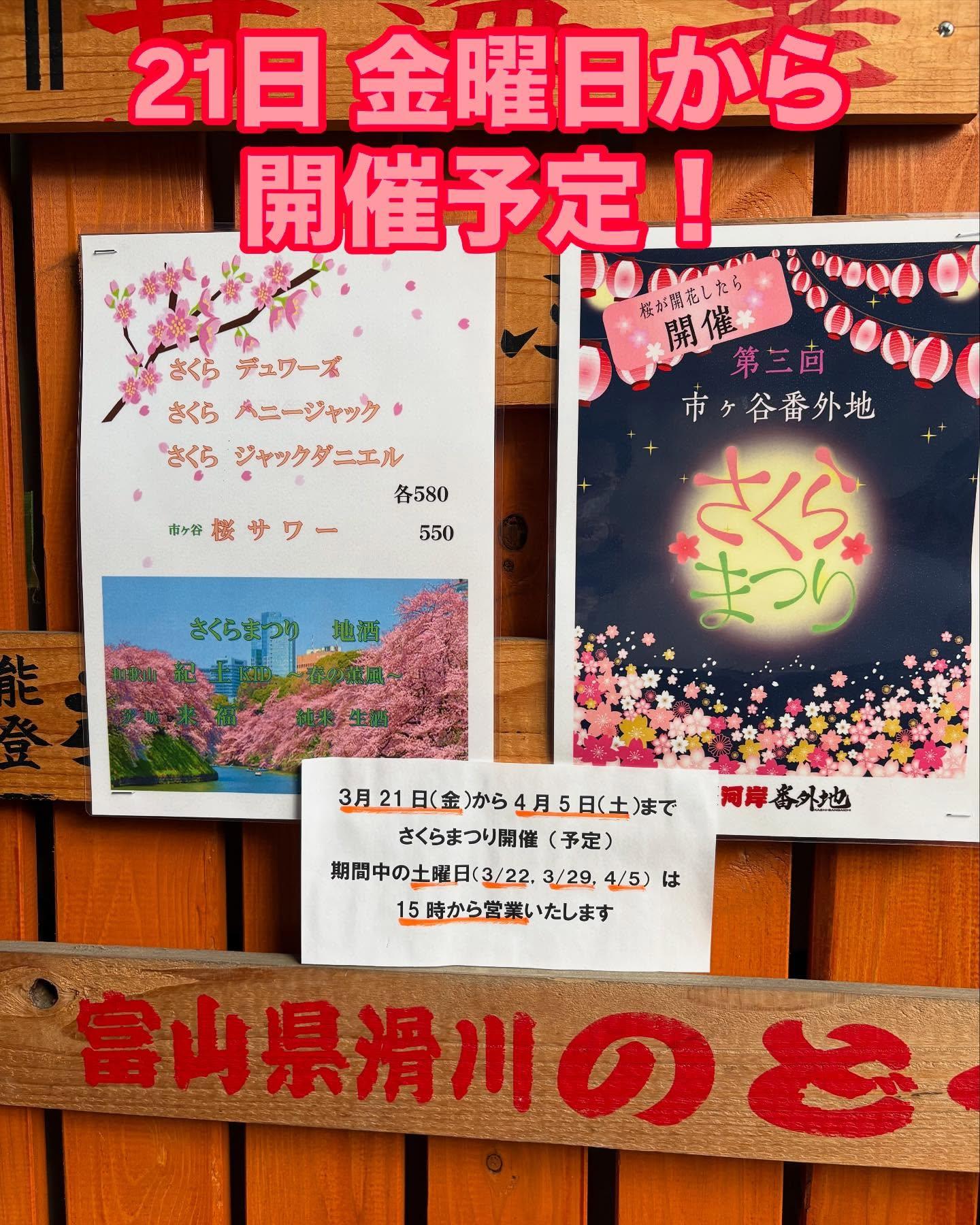 さくらの開花が待ち遠しいですね!