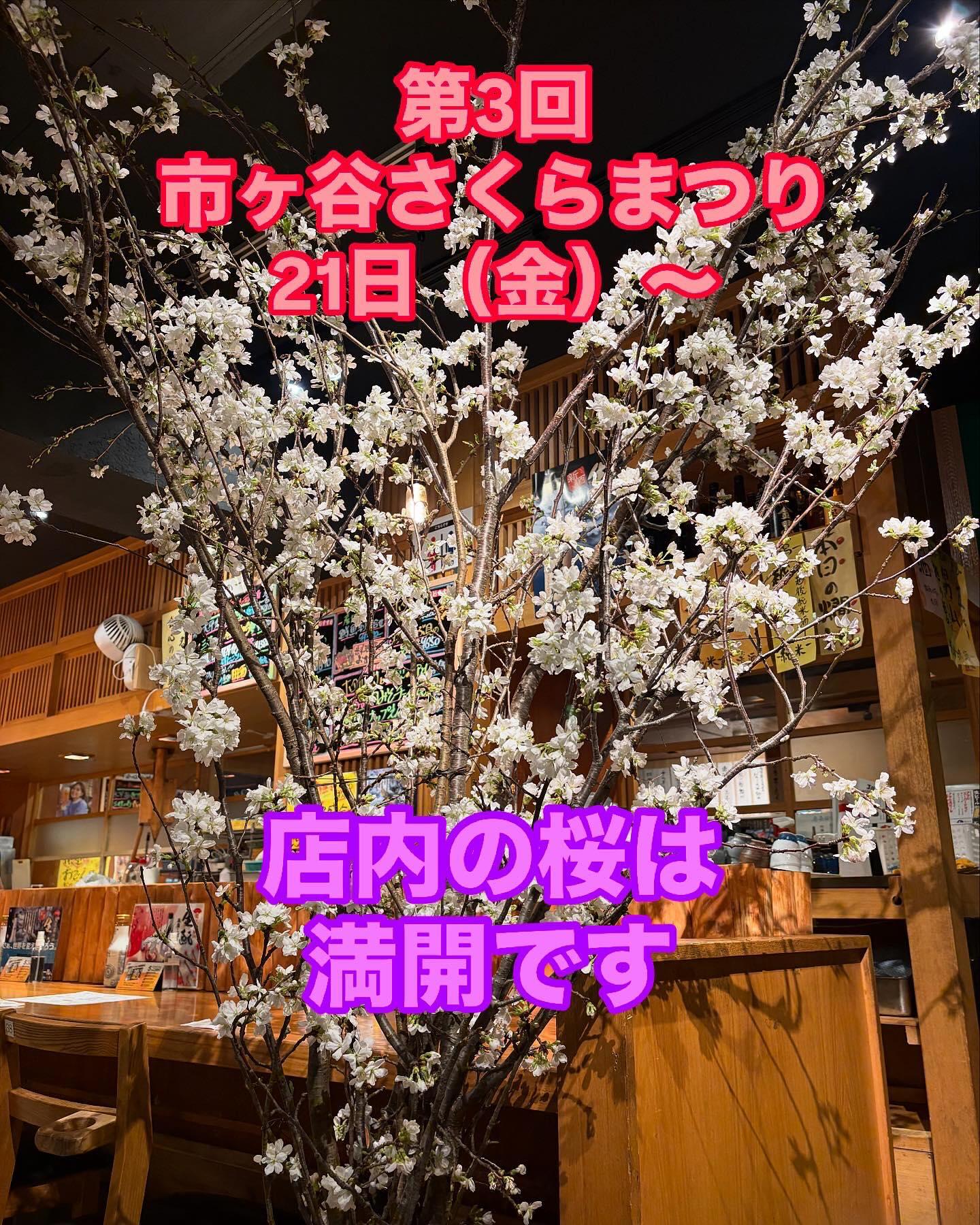 午前中の雪にはびっくり!さくらの開花が遠のくのか?