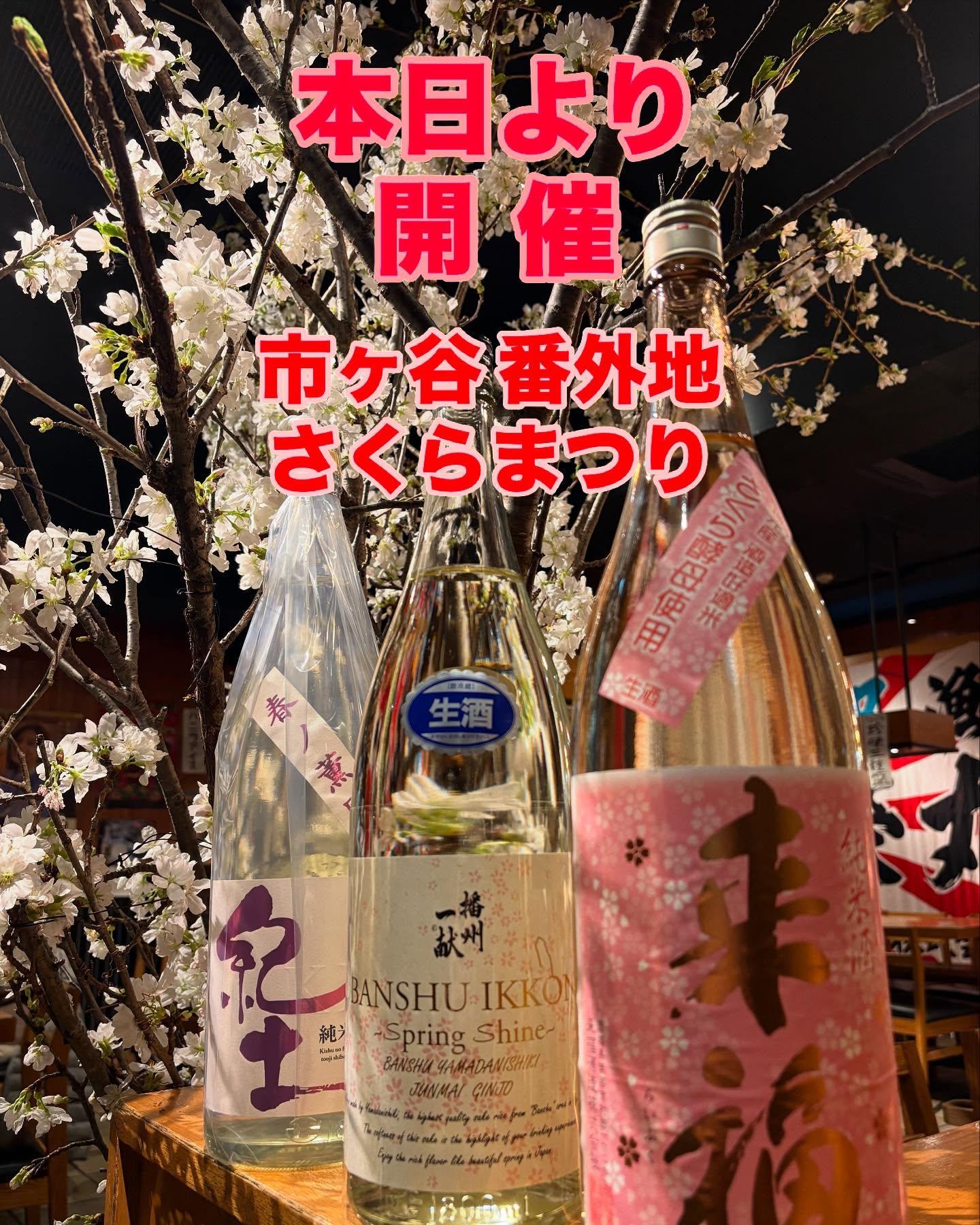お待たせしました!本日から第3回”番外地さくらまつり”を開催です!!