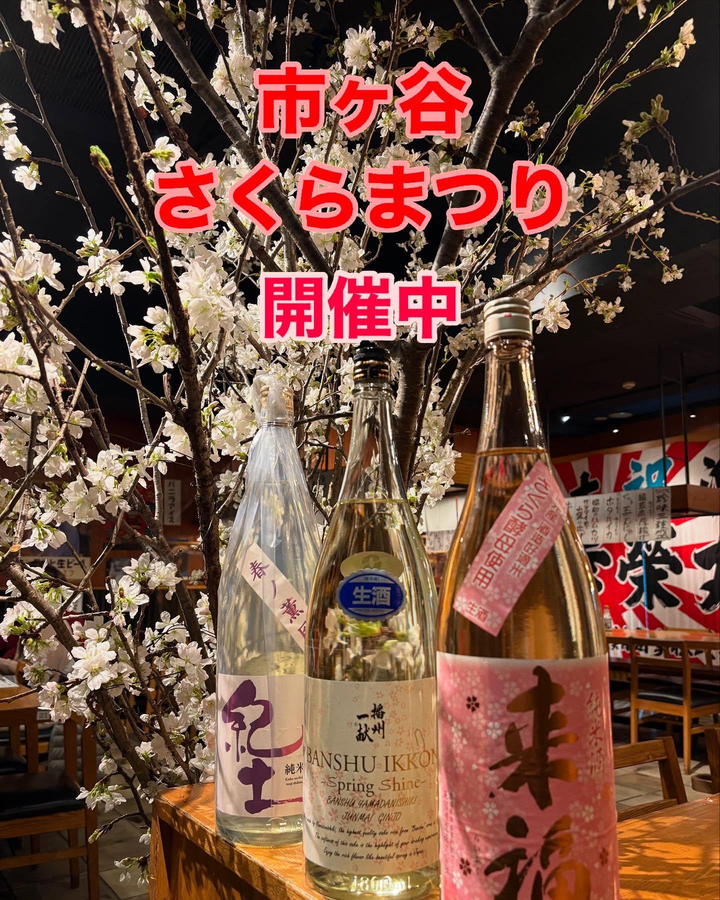 第3回”番外地さくらまつり”を開催中です!!