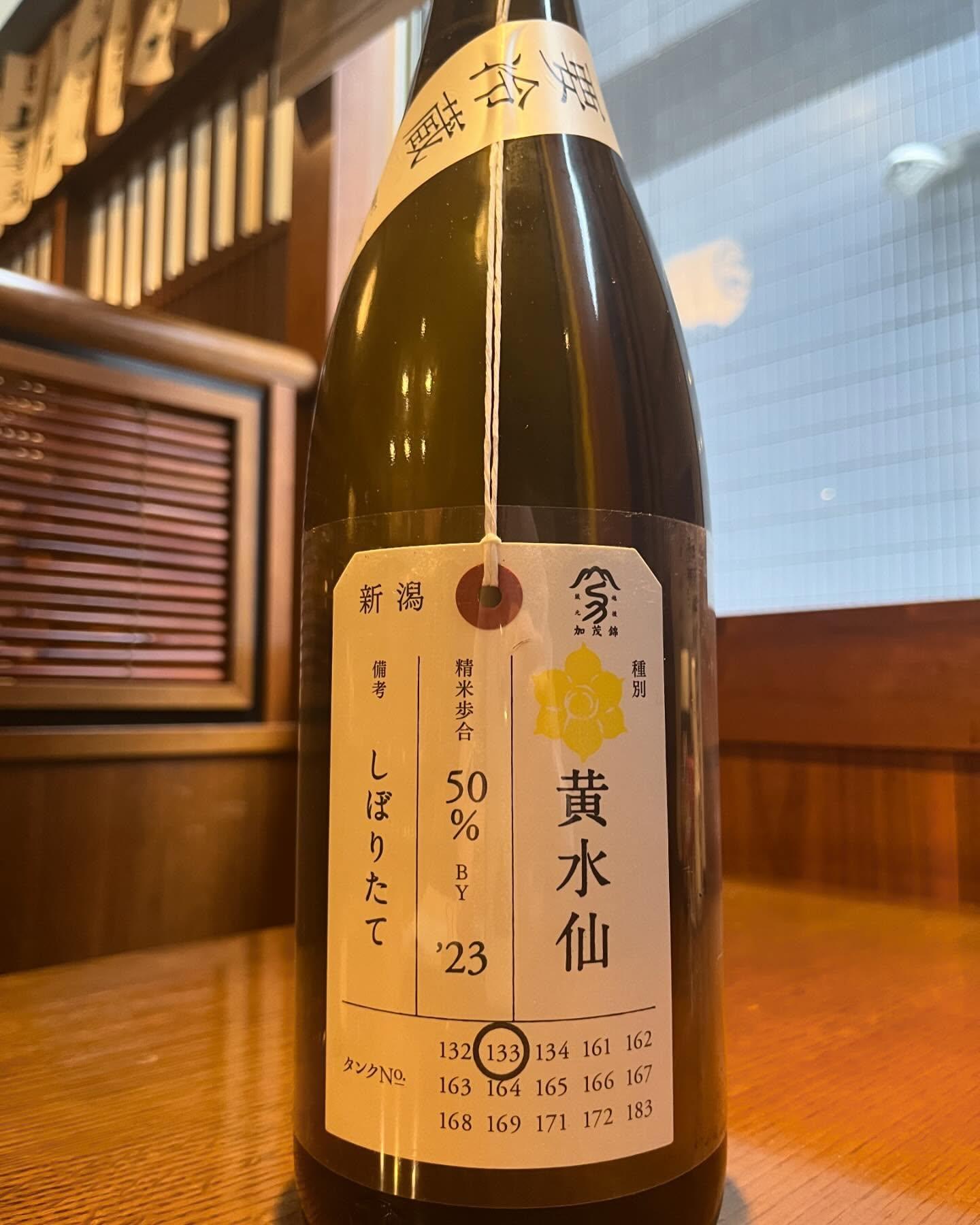 おはようございます。