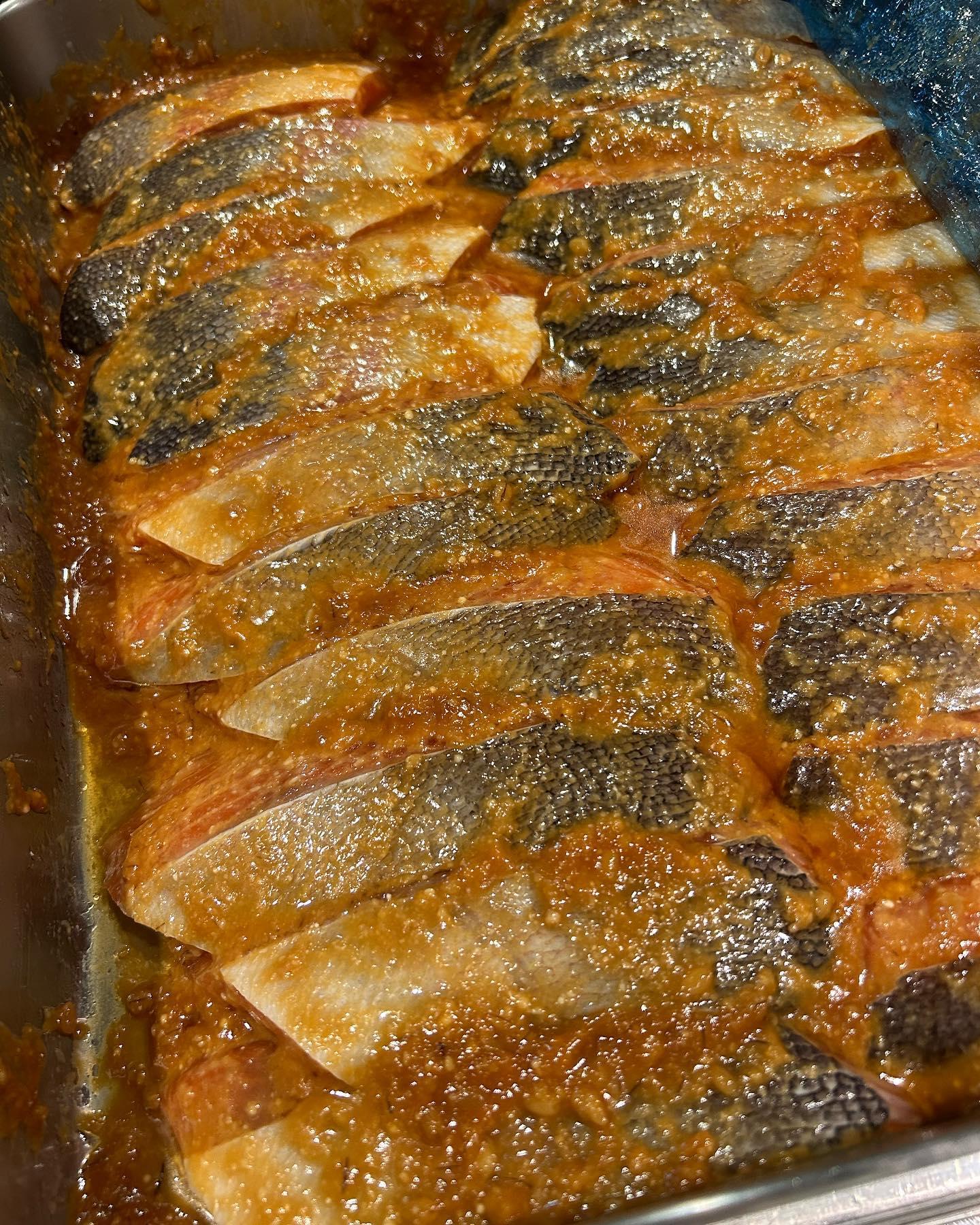 いらっしゃいませ🐟
