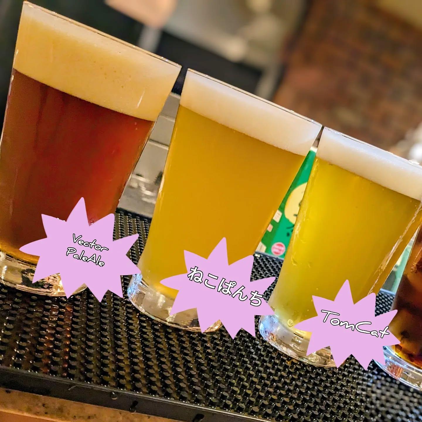🐱こんばんは🍺