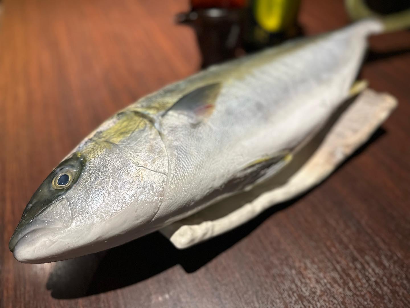 おはようございます‼️